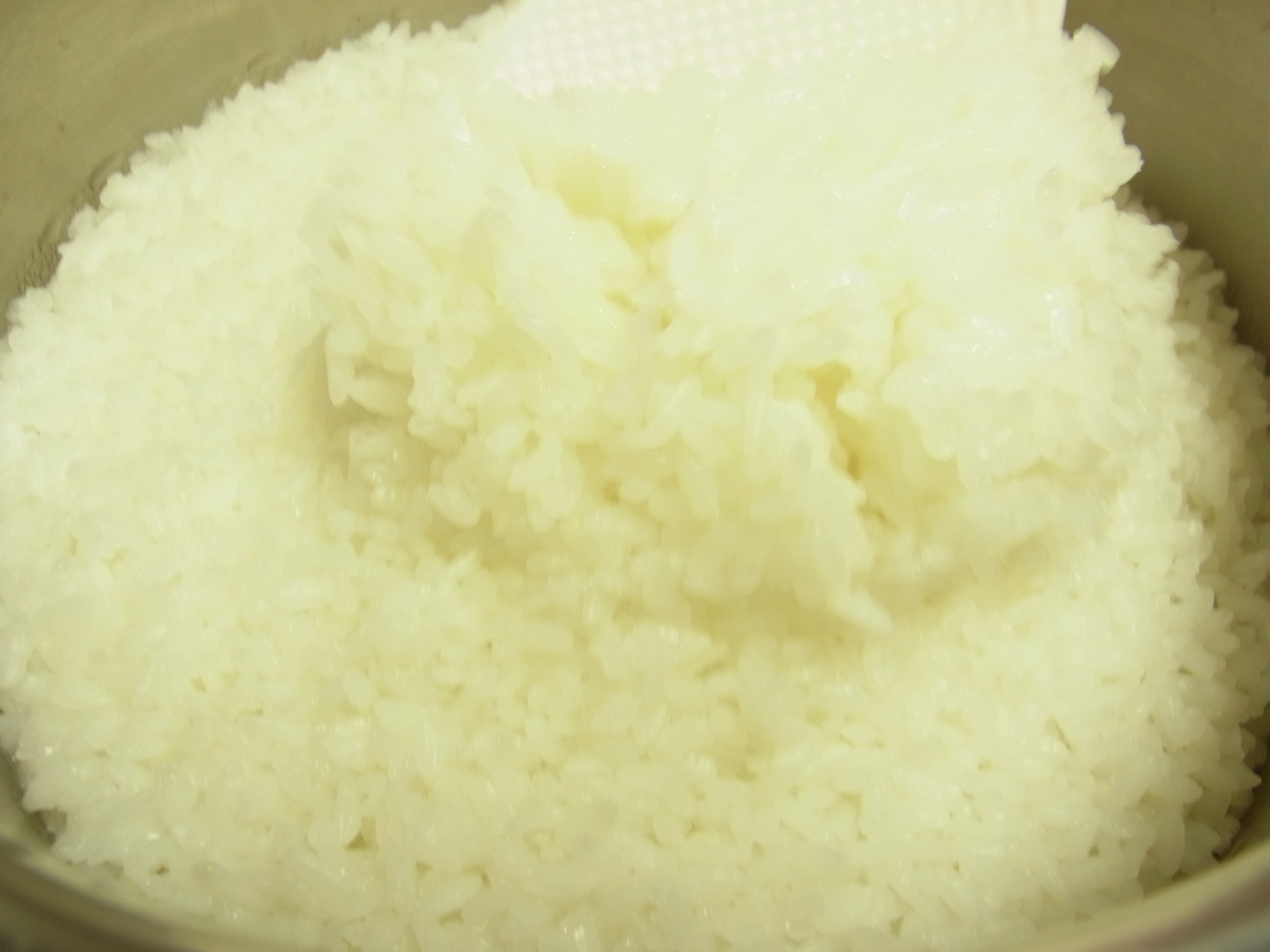 http://vitacraft.co.jp/blog/%E3%82%8D%E3%81%86%E3%81%9D%E3%81%8F4.JPG